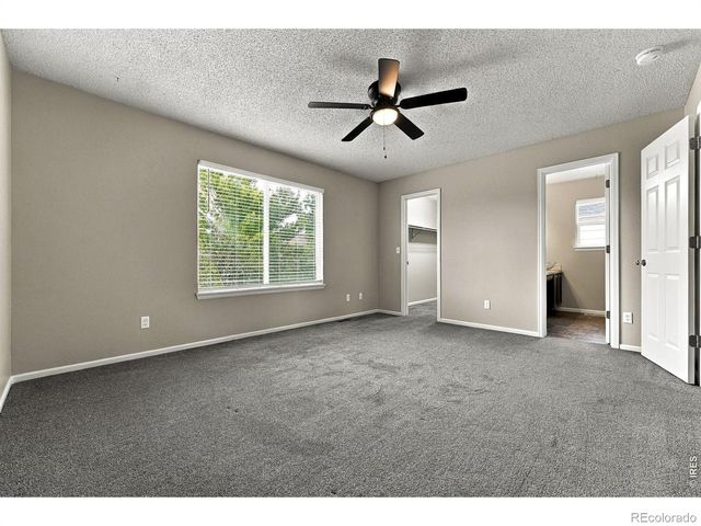 4382 E Andover Avenue, Castle Rock, CO 80104
