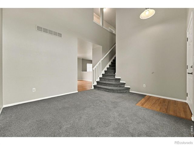 4382 E Andover Avenue, Castle Rock, CO 80104