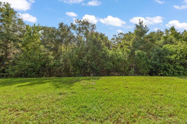 4422 HAVELOCKE DRIVE, Land O Lakes, FL 34638