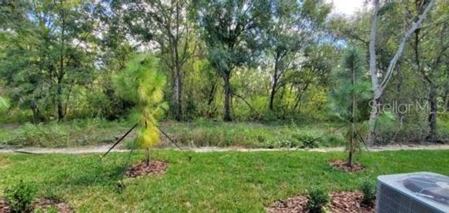 11859 DUMAINE VALLEY ROAD, Riverview, FL 33579