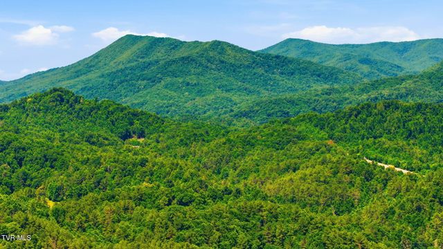 513 Raven Cliff Road, Erwin, TN 37650