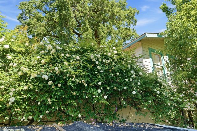 7 Marin Rd, Fairfax, CA 94930