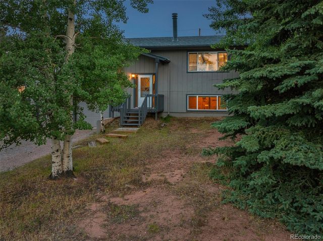 720 W Northwoods Drive, Woodland Park, CO 80863