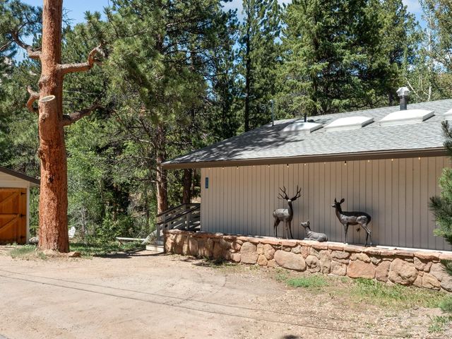 330 Fall River Ln, Estes Park, CO 80517