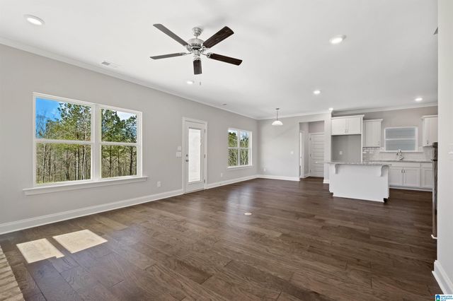 243 RIDGE BOULEVARD, Alabaster, AL 35007