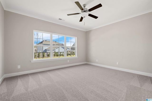 243 RIDGE BOULEVARD, Alabaster, AL 35007