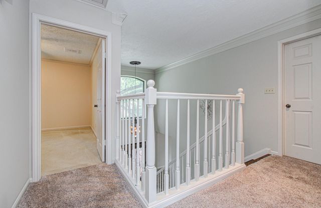 2 Hickory Shadows Drive, Houston, TX 77055