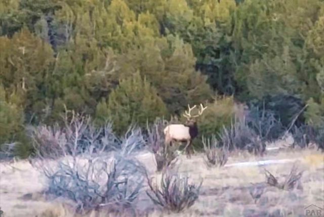 7559 Soda Creek Rd, Pueblo, CO 81023