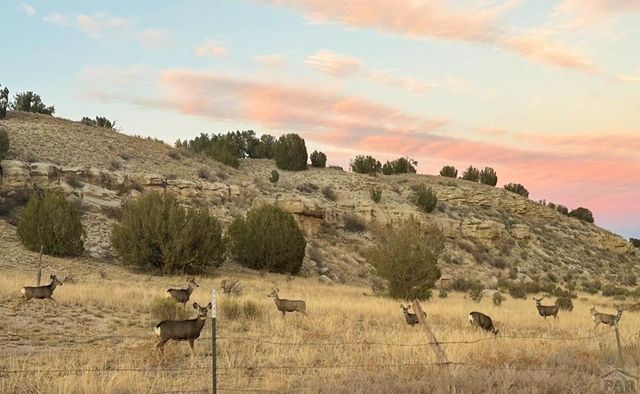 7559 Soda Creek Rd, Pueblo, CO 81023