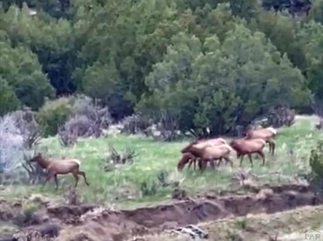 7559 Soda Creek Rd, Pueblo, CO 81023