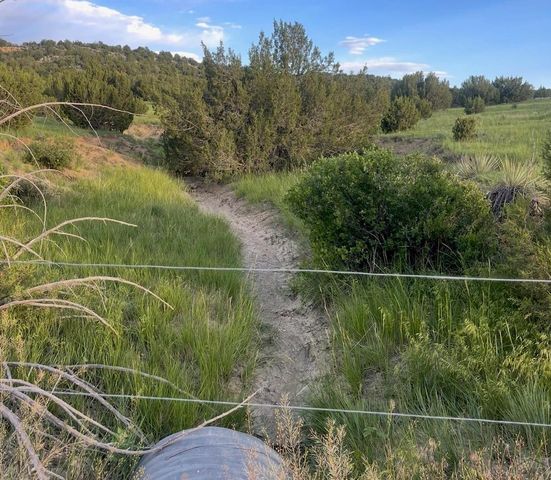 7559 Soda Creek Rd, Pueblo, CO 81023