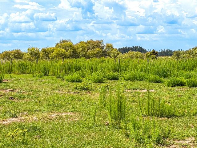 4706 COUNTY ROAD 557A, Polk City, FL 33868