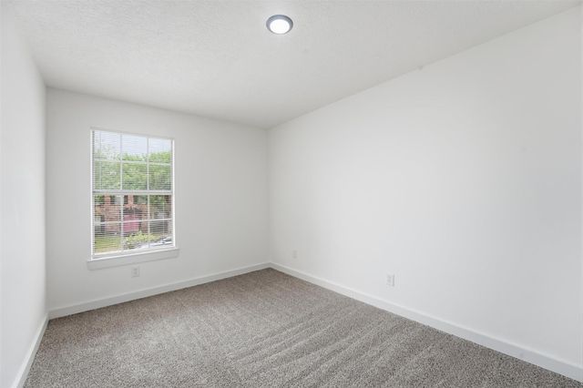 11338 White Gate Lane, Houston, TX 77067