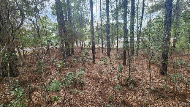 7954 N Golfview Drive, Citrus Springs, FL 34434