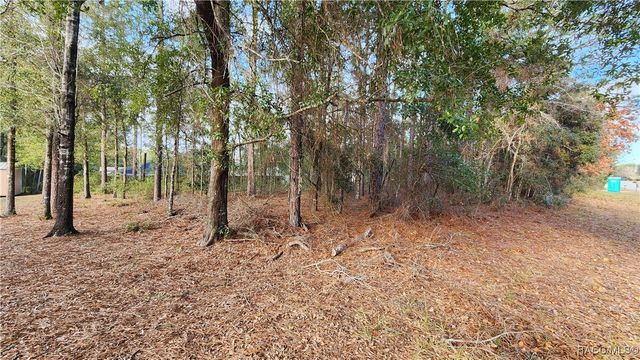 7954 N Golfview Drive, Citrus Springs, FL 34434