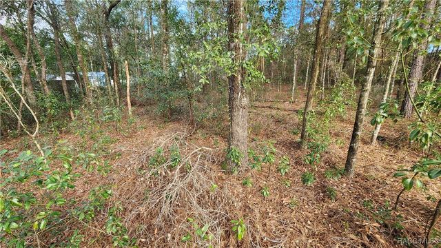 7954 N Golfview Drive, Citrus Springs, FL 34434