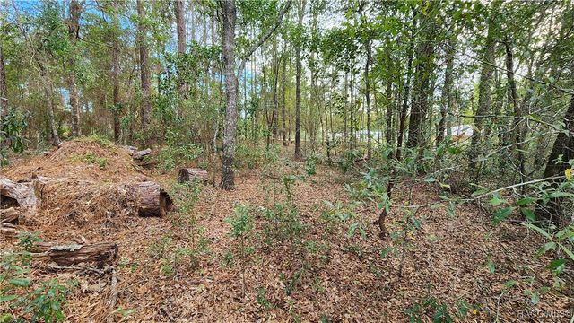 7954 N Golfview Drive, Citrus Springs, FL 34434