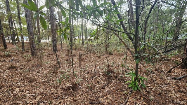 7954 N Golfview Drive, Citrus Springs, FL 34434