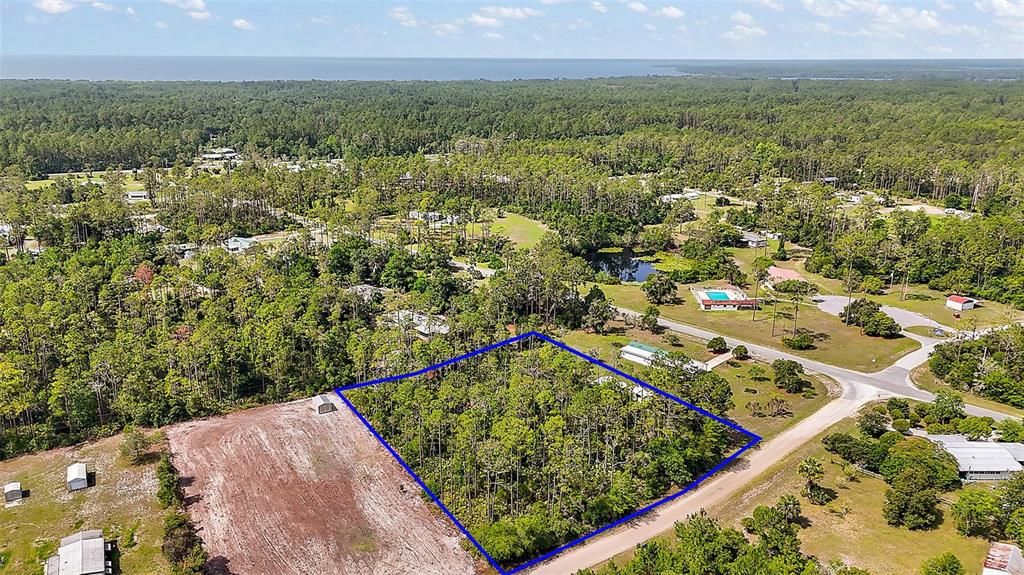 203 PONDEROSA PINE COURT, Georgetown, FL 32139