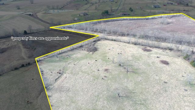 1013-B Salem Pike, Cynthiana, KY 41031