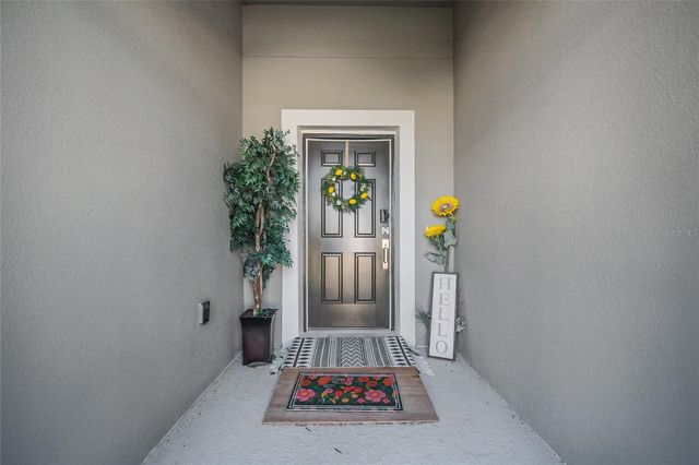 3839 CABO ROJO DRIVE, St Cloud, FL 34772