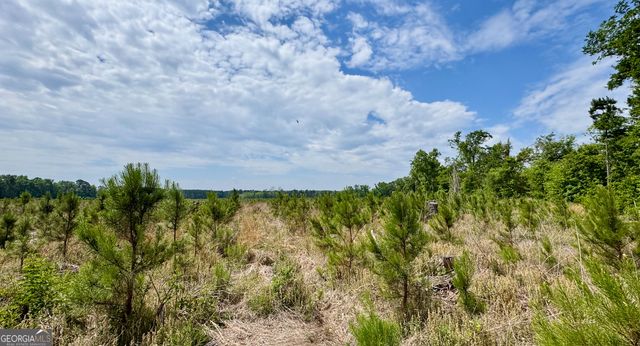 0 Highway 301 15, Statesboro, GA 30461