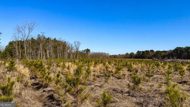 0 Highway 301 15, Statesboro, GA 30461