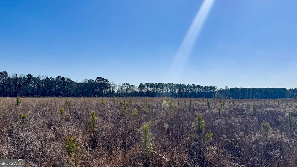 0 Highway 301 15, Statesboro, GA 30461