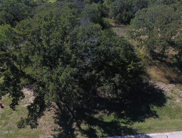 197 Palmilla Drive, Gordonville, TX 76245