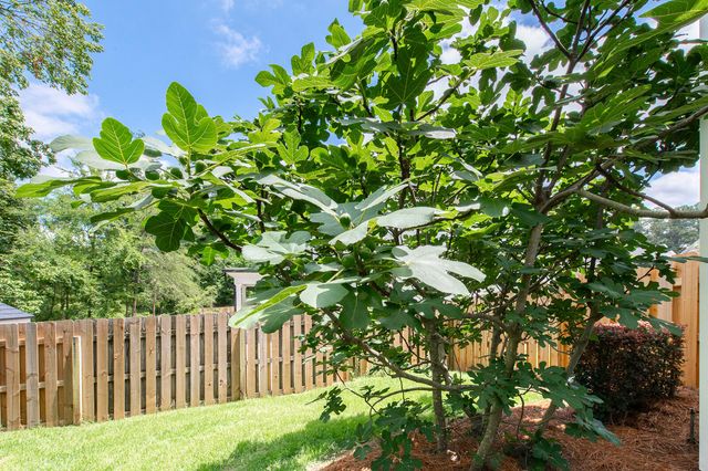 2609 Sherborne Court, Augusta, GA 30909