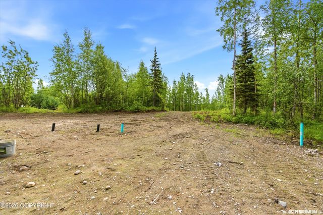 13862 W Halston Avenue, Big Lake, AK 99623