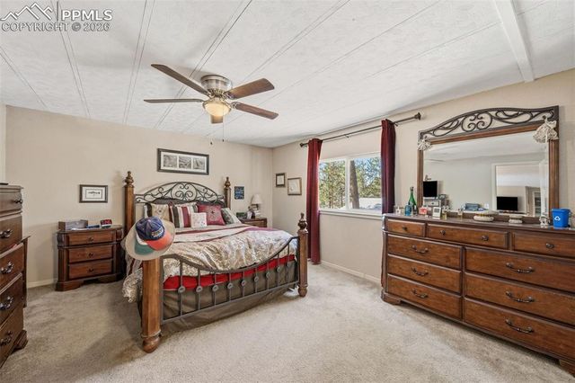 1299 Pikes Peak Drive, Florissant, CO 80816