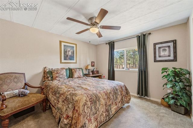 1299 Pikes Peak Drive, Florissant, CO 80816