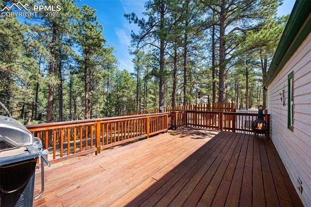 1299 Pikes Peak Drive, Florissant, CO 80816