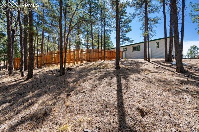 1299 Pikes Peak Drive, Florissant, CO 80816