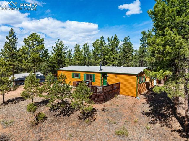 1299 Pikes Peak Drive, Florissant, CO 80816