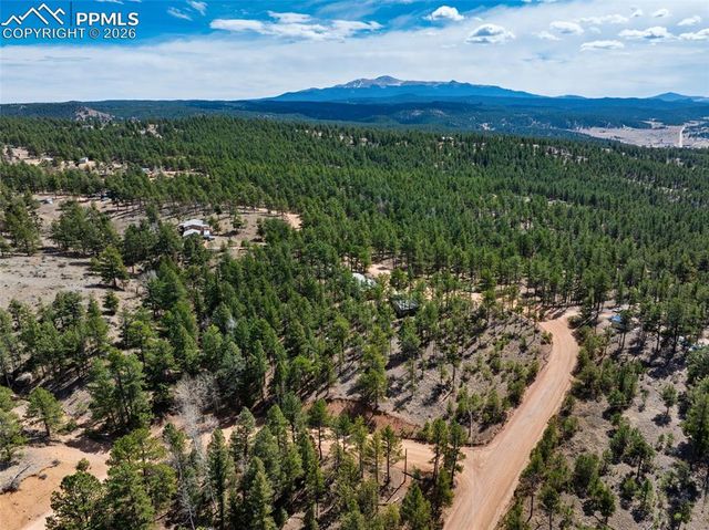 1299 Pikes Peak Drive, Florissant, CO 80816