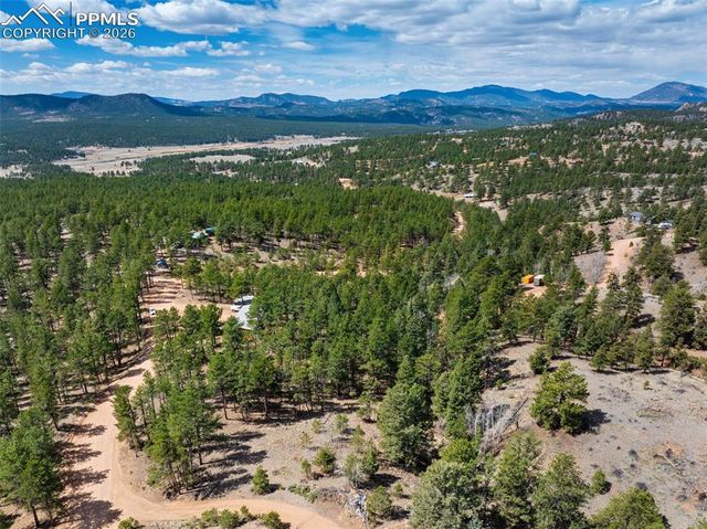 1299 Pikes Peak Drive, Florissant, CO 80816