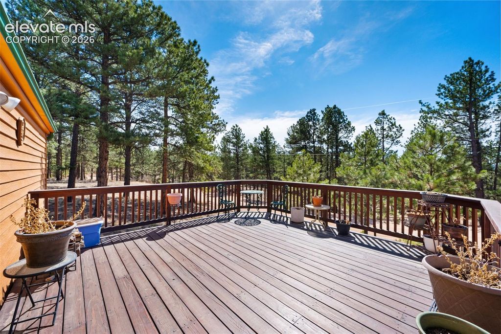 1299 Pikes Peak Drive, Florissant, CO 80816 — photo 3
