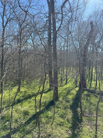 Tract 1 SE County Road 3230, Kerens, TX 75144