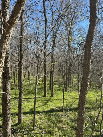 Tract 1 SE County Road 3230, Kerens, TX 75144