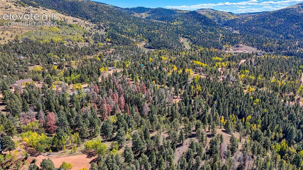 136 Gold Crown Circle, Cripple Creek, CO 80813 — photo 4