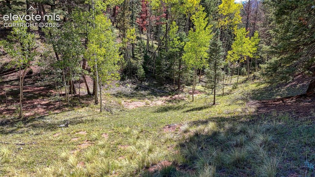 136 Gold Crown Circle, Cripple Creek, CO 80813 — photo 5
