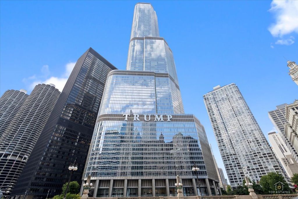 401 N Wabash Avenue 68B, Chicago, IL 60611 — exterior