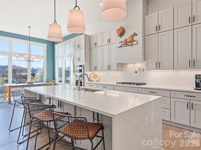 717 Daniel Circle Drive, Mills River, NC 28759