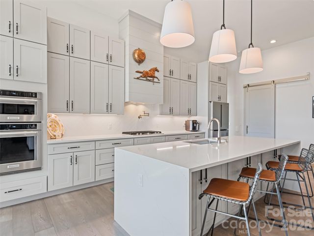 717 Daniel Circle Drive, Mills River, NC 28759