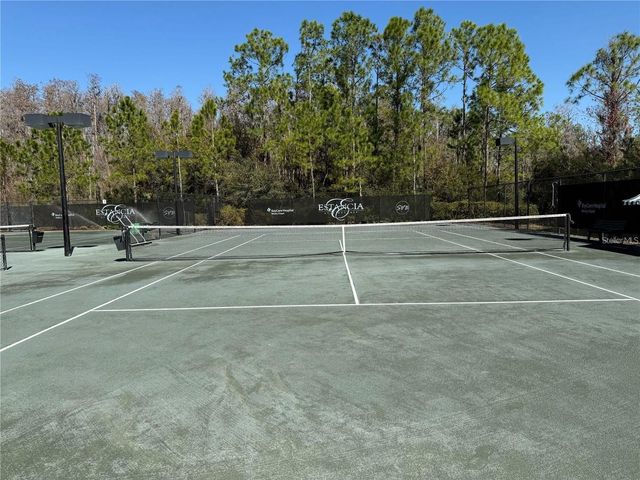 4599 ALMADA LANE, Wesley Chapel, FL 33543