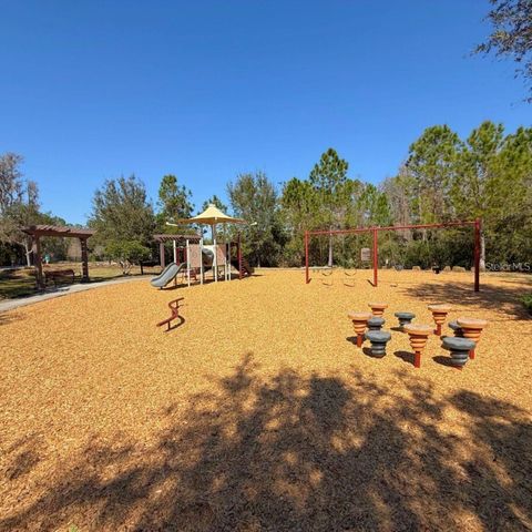 4599 ALMADA LANE, Wesley Chapel, FL 33543