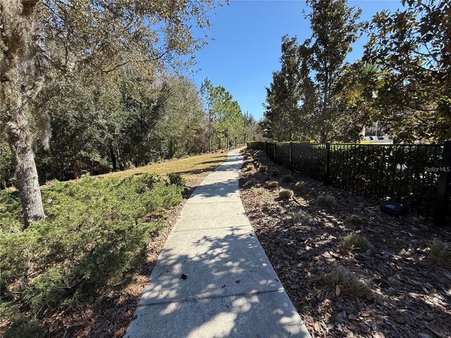 4599 ALMADA LANE, Wesley Chapel, FL 33543