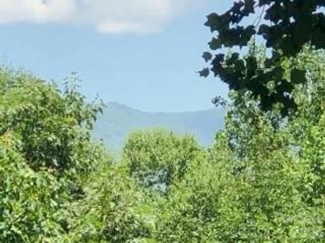 325 Hedgewood Drive, Tuckasegee, NC 28783